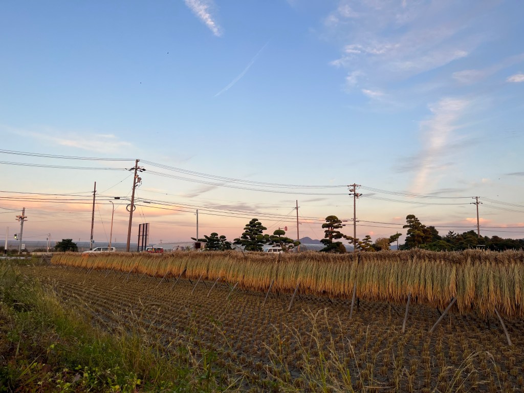 水始めて涸れる